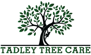 Tadley Tree Care