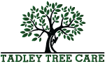 Tadley Tree Care